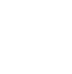 Medicare Advantage Plan Icon