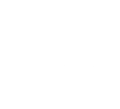 Users Icon